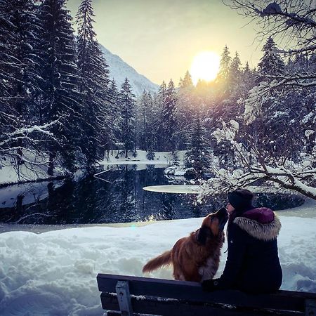 Apartment Maya, La Praz, Chamonix Mont Blanc מראה חיצוני תמונה