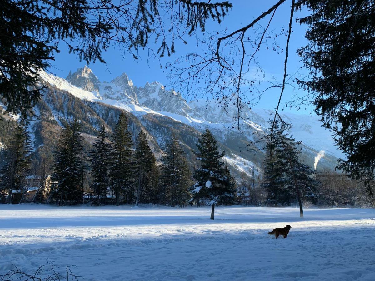 Apartment Maya, La Praz, Chamonix Mont Blanc מראה חיצוני תמונה