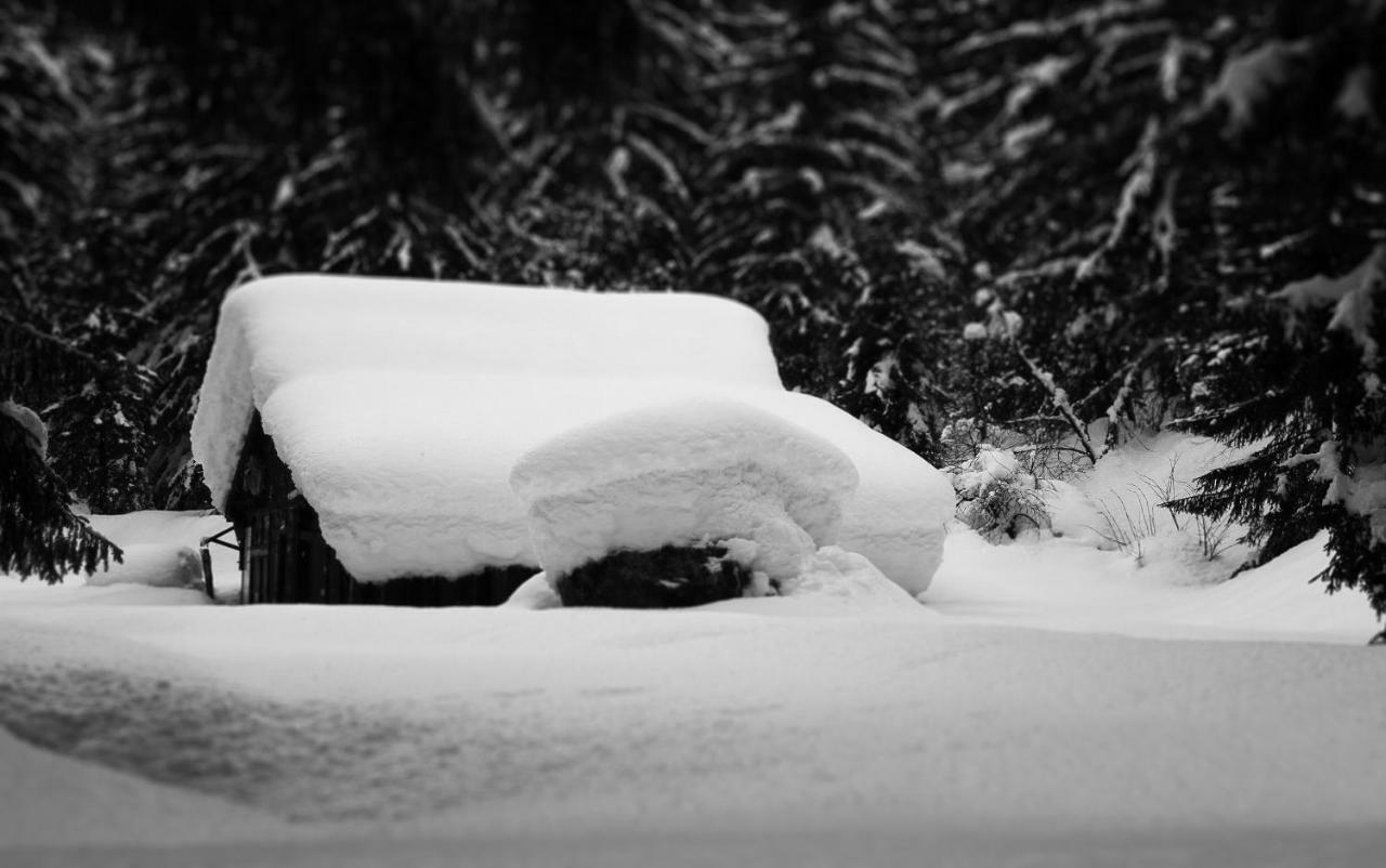 Apartment Maya, La Praz, Chamonix Mont Blanc מראה חיצוני תמונה
